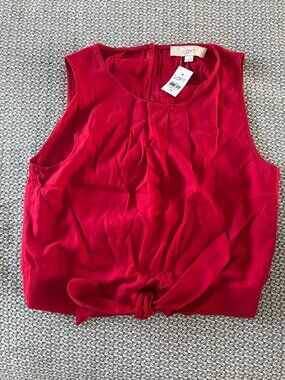 LOFT NWT top